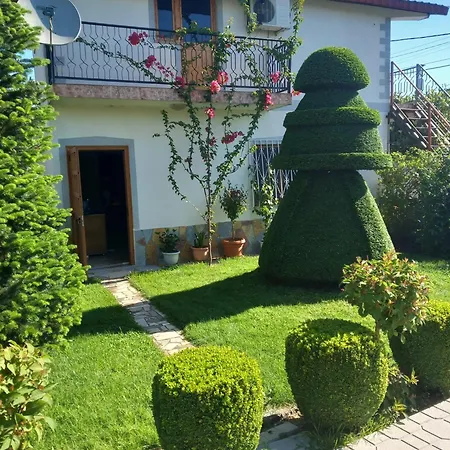 House Polisi i Vogel